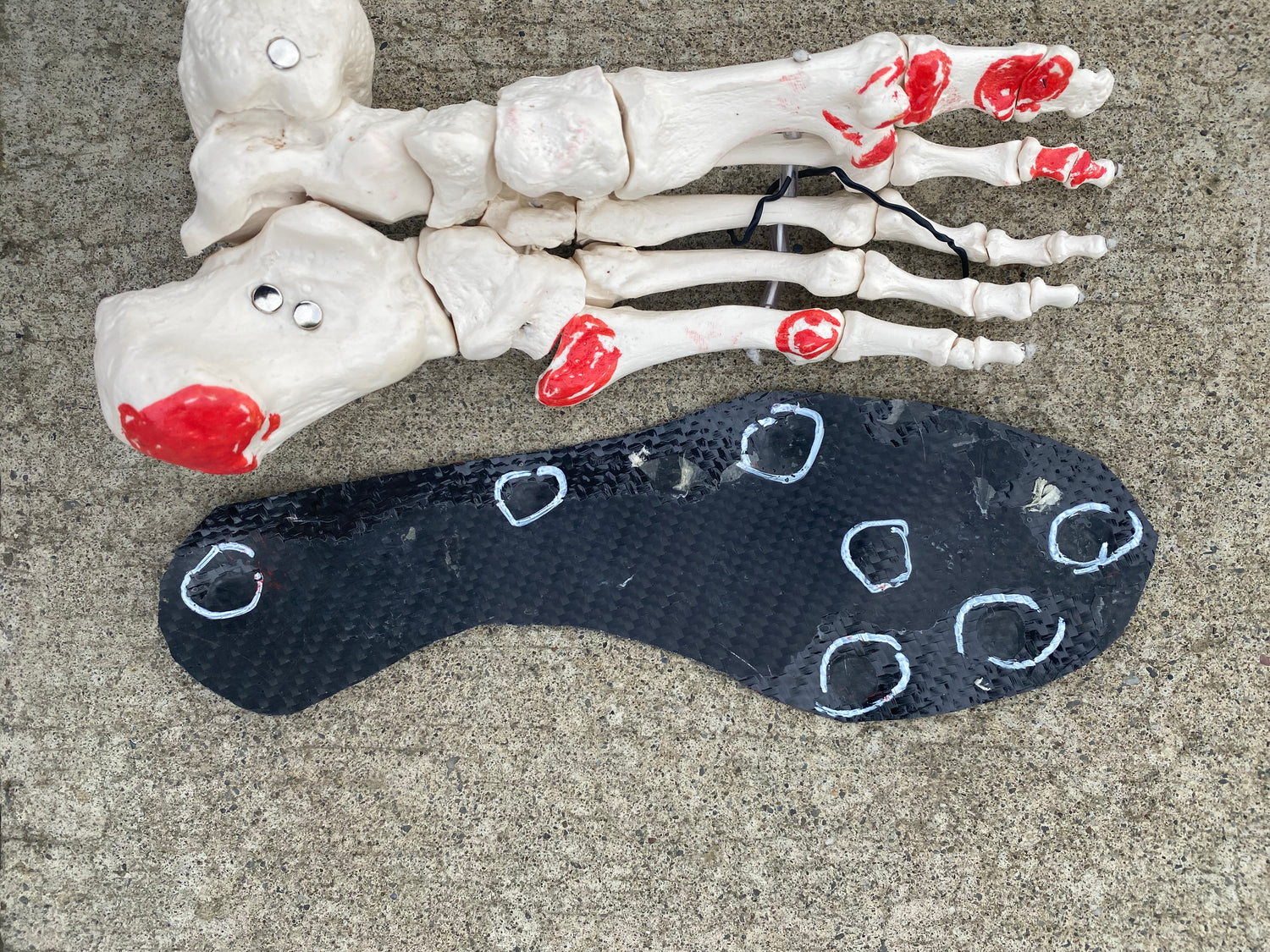 anatomical foot with carbon fiber insoles 